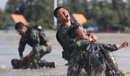 中国特种兵爆料视频播放,实战训练与使命担当