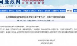 最新公职人员爆料信息,内幕黑幕，揭开权力滥用真相